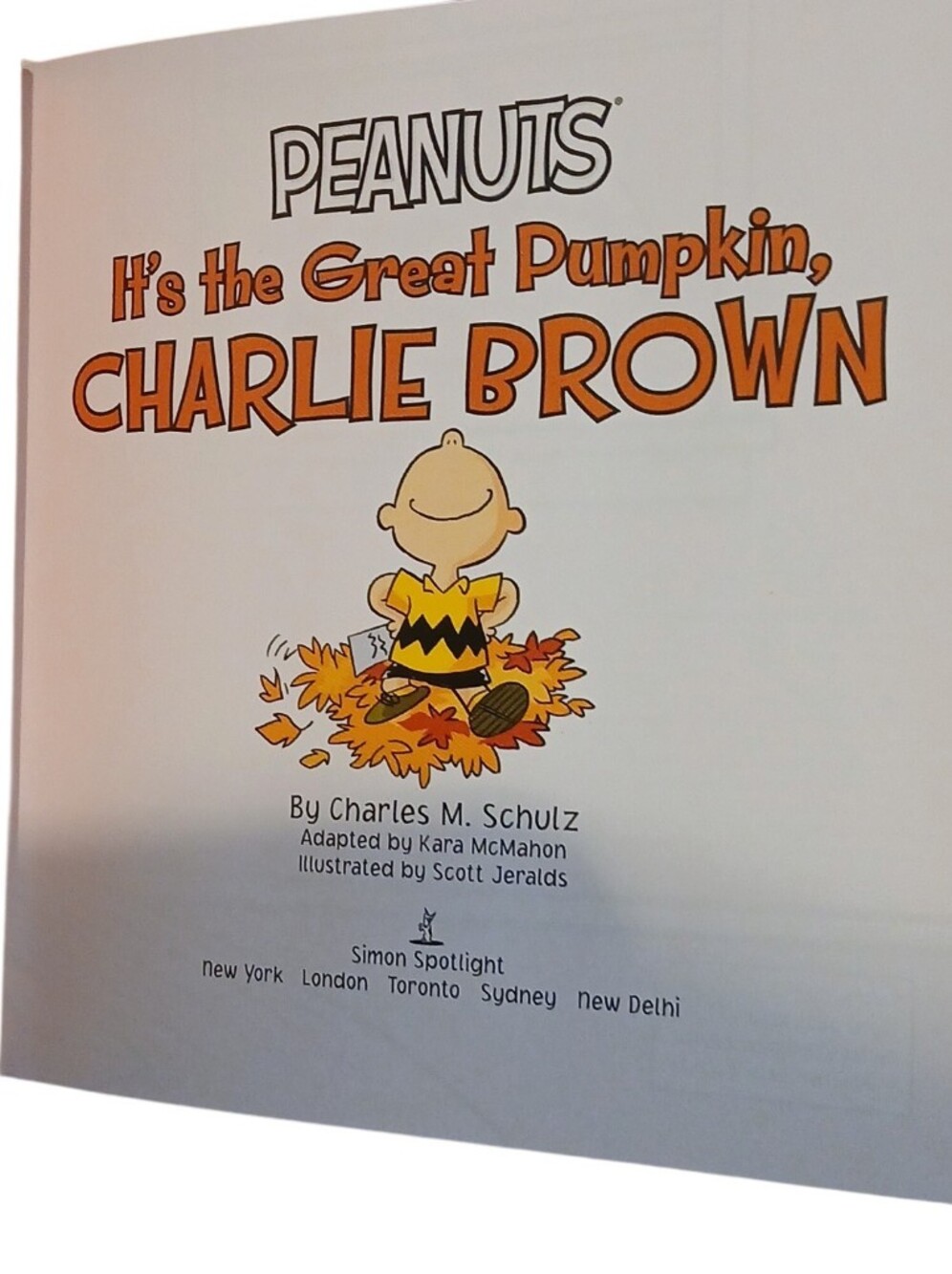 Peanuts -Plush Snoopy With Halloween Tee shirt & 25 Page, The Great Pumpkin book - Picture 6 of 10